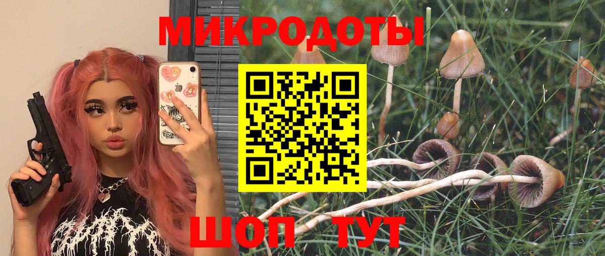 Галлюциногенные грибы мицелий  Вход с VPN  что такое   Псилоцибиновые грибы мицелий  Луховицы 